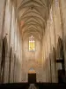 Basiliek van Cléry-Saint-André - Binnen in de basiliek Notre-Dame de Clery schip