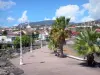 Basse-Terre - Promenade with benches, palm trees and lampposts