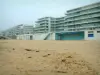 La Baule - Los edificios y la playa de arena de la localidad