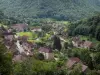 Baume-les-Messieurs - Maisons du village, prairies et arbres