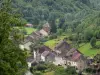 Baume-les-Messieurs - Casas de pueblo, prados y árboles