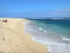 Beaches of Réunion