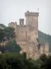 Beaucaire - Castle surrounded by trees