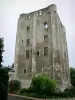 Beaugency - Dungeon (César Torre)