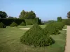 Beauvoir castle - Hand-clipped box hedges of the French-style formal garden; in the town of Saint-Pourçain-sur-Besbre, in Besbre valley