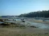 Bélon Port - Low tide with boats, sailboats and barges, forest in background