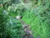 Belvédère du Cap Noir - Caminar el sendero que lleva a cabo Lookout Negro