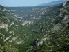 Bergengte van de Nesque - Wild kloof met rotswanden, bomen en bossen