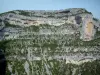Bergengte van de Nesque - Steile klif (rotswand) en wilde bomen in de canyon