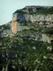 Bergengte van de Nesque - Bomen en steile klif (rotswand) van wilde canyon