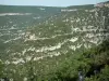 Bergengte van de Nesque - Wild kloof met rotswanden en bomen