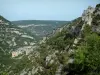 Bergengte van de Nesque - Bomen, rotsen en kliffen van de canyon