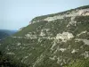 Bergengte van de Nesque - Cliff, rock en bomen