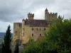 Beynac-et-Cazenac - Castle, trees and cloudy sky, in the Dordogne valley, in Périgord