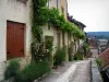 Beynac-et-Cazenac - Narrow street of the village and its houses with facades decorated with vines and climbing roses, in the Dordogne valley, in Périgord