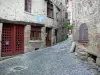 Billom - Medieval town (medieval quarter): sloping paved street lined with stone houses; in the Livradois-Forez Regional Nature Park