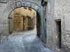 Billom - Medieval city (medieval area): Door, paved street and facades of houses