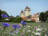 Blandy - Flowers in foreground with a view of the medieval castle of Blandy-les-Tours and houses of the village