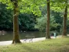 Bois de Vincennes - Trees and bench by the water