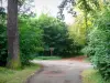 Bois de Vincennes - Small forest road