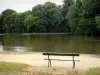 Bois de Vincennes - Bench by a lake surrounded by greenery