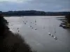 Le Bono - Shore cubierto de bosque, río Bono con los barcos y veleros