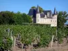 Bordeaux Weinanbaugebiet - Schloss Pichon-Longueville und Weinanbau des Weinguts, in Pauillac, im Medoc