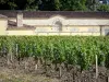 Bordeaux Weinanbaugebiet - Rebstöcke und Weinlager des Schlosses Margaux