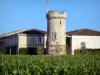 Bordeaux Weinanbaugebiet - Rebstöcke und Turm des Schlosses Cos d'Estournel, Weingut in Saint-Estèphe, im Medoc