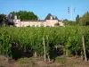 Bordeaux Weinanbaugebiet - Schloss Loudenne und sein Weinanbau, Weingut in Saint-Yzans-de-Médoc