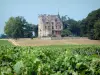 Bordeaux Weinanbaugebiet - Rebstöcke vorne, mit Blick auf das Schloss Lachesnaye, Weingut in Cussac-Fort-Médoc