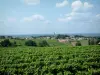 Bordeaux Weinanbaugebiet - Weinberge und Dorf des Bordelais (Bordeaux Weinanbaugebiet)