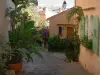 Bormes-les-Mimosas - Houses of the village with shrubs, and bougainvillea flowers