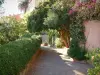 Bormes-les-Mimosas - Narrow street with shrubs, creepers, bougainvillea, laurel and trees