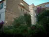 Bormes-les-Mimosas - Houses of the village with plants and bougainvillea flowers