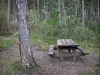 Boscodon Forest - Стол для пикника и деревья; в национальном парке Экрин