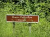 Bosque de Meudon - Señal de carretera forestal real