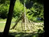 Bosque de Meudon - Tipi de madera