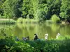 Bosque de Meudon - Pesca en el estanque, en un entorno verde.