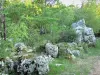 Bosque de Païolive - Los árboles y las rocas de piedra caliza