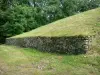 Bougon tumulus - Bougon Neolithic necropolis - megalithic site: tumulus
