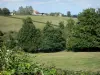 Bourbonnais hedged farmland - Pastures, trees and houses