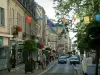 Bourges - Rue Moyenne avec ses immeubles et ses boutiques