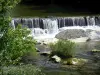 La Bourne gorges - Vercors Regional Nature Park: Bourne river and shrubs