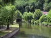 Brantôme - Bank of the Monks garden (on the left), Dronne river and trees along the water, in Green Périgord