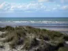 Bray-Dunes - Opal Coast: dunas plantada de césped playa con vistas a la playa y el Mar del Norte