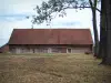 Bresse of Burgundy - Bressane farm with bricks and timber framings, meadow and trees