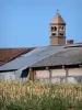 Bresse savoyarde - Ferme bressane à cheminée sarrasine et champ ; à Vescours