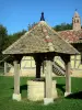 Bresse savoyarde - Puits et cheminée sarrasine de la Grange du Clou (ferme bressane) ; à Saint-Cyr-sur-Menthon