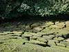 Breteuil castle - Boxwood mosaic in the French garden